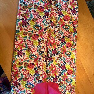 Spyder Ski Pants (size 14)